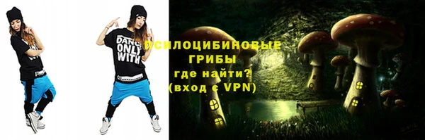 амф Абинск