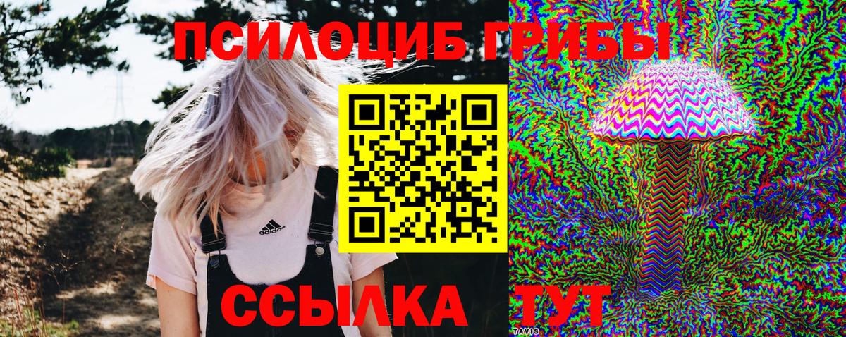 Азнакаево  Псилоцибиновые грибы GOLDEN TEACHER  Вход с VPN 